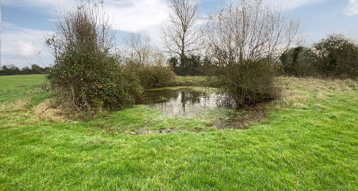 New Road, West Huntspill